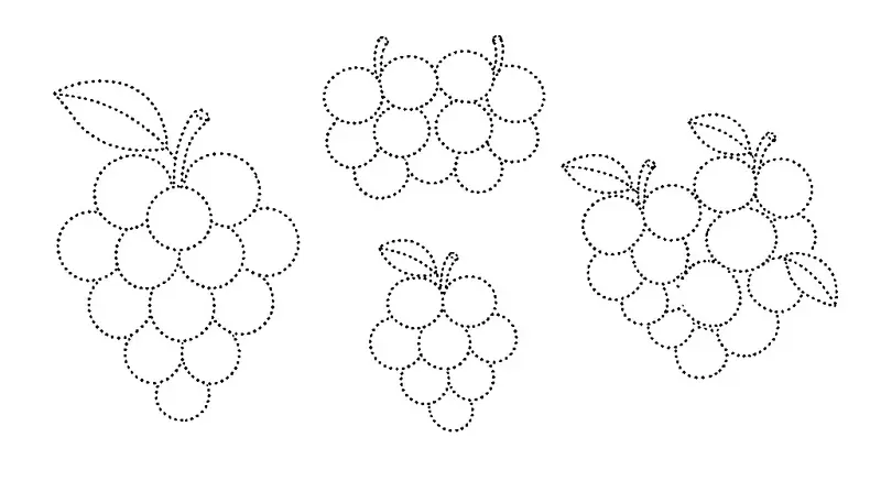 🍇 Grapes - Trace and Color
